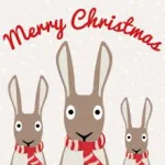 MH009 Christmas Cards PR5
